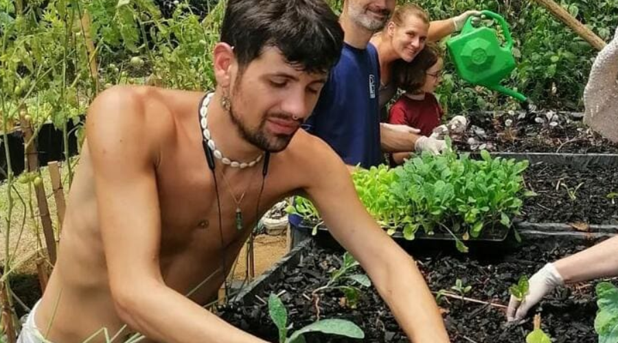 Farming experiences