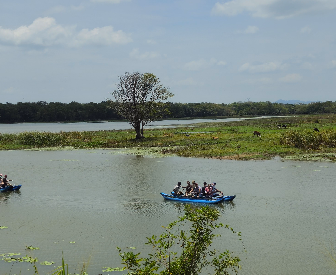 Wildlife and Nature Experiences